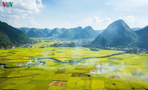 灿烂的北山稻熟季节 - ảnh 1