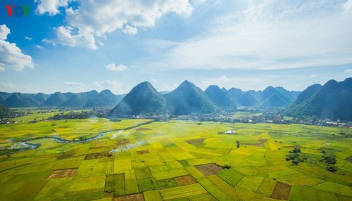 灿烂的北山稻熟季节 - ảnh 2