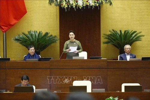 越南国会质询活动结束 - ảnh 2