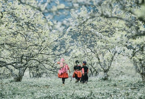 2021年初吸引游客的越南旅游胜地 - ảnh 4