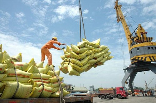 越南大米在要求严格的市场确立品牌 - ảnh 1