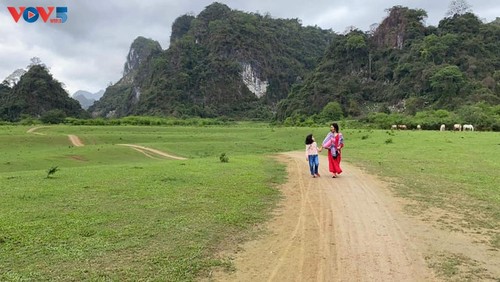 同林草原——理想的野游目的地 - ảnh 5