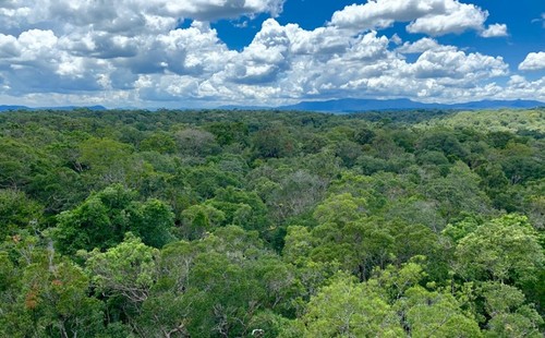 越南再有两个生物圈保护区被列为世界生物圈保护区 - ảnh 10