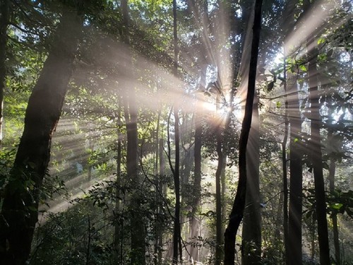 越南再有两个生物圈保护区被列为世界生物圈保护区 - ảnh 11