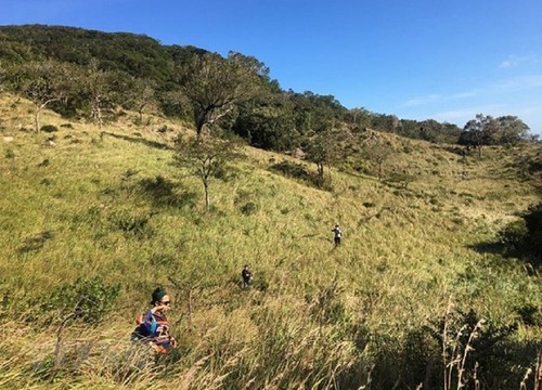 越南再有两个生物圈保护区被列为世界生物圈保护区 - ảnh 1