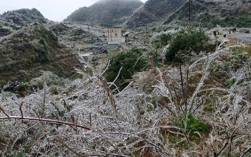 越南北部山区多地出现霜冻 - ảnh 11