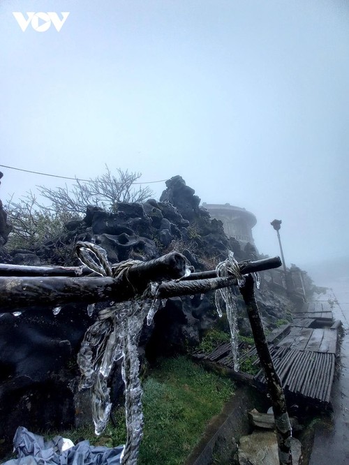 越南北部山区多地出现霜冻 - ảnh 4