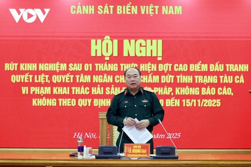 朝着尽快解除欧盟“黄牌“、推动越南渔业可持续发展和融入国际的目标迈进 - ảnh 11