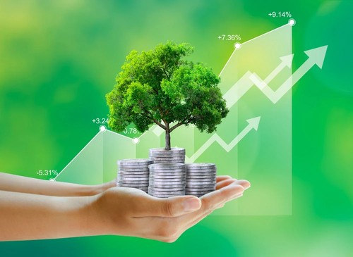 绿色经济成为国家发展战略的重点 - ảnh 1