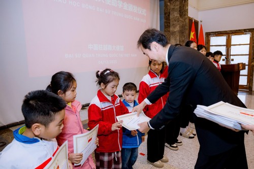 加强越中友谊 - ảnh 2