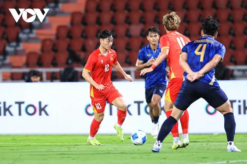 第33届东南亚运动会：越南U22队击败泰国U22队，夺得金牌 - ảnh 6