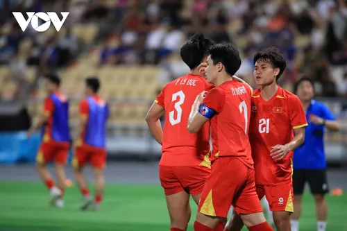 第33届东南亚运动会：越南U22队击败泰国U22队，夺得金牌 - ảnh 9