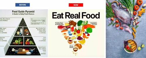 QP FOOD 公布 C.E.O 河粉品牌及越南河粉全球战略 - ảnh 2