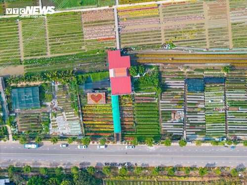 西南部地区花卉之绽放春日色彩 - ảnh 17