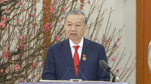 苏林启程对老挝进行国事访问 - ảnh 1