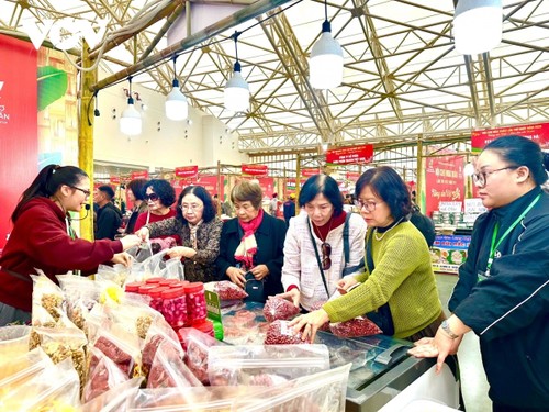 春季博览会：对接供需的活力枢纽 - ảnh 2