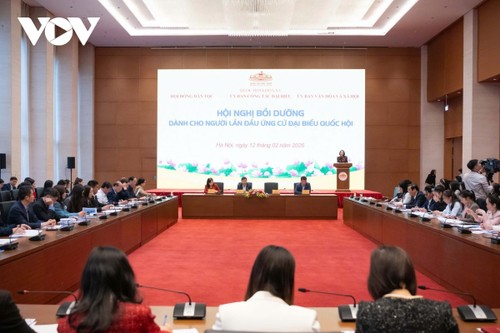 近170名首次参选的国会代表候选人在河内接受技能培训 - ảnh 1