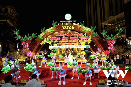 芹苴市丙午春节艺术花街开幕 - ảnh 1