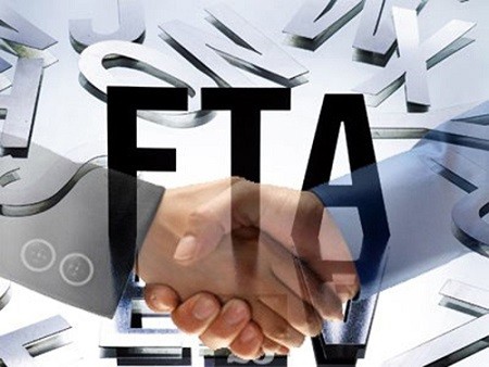 FTA: New prospects for Vietnam, EU relationship - ảnh 1