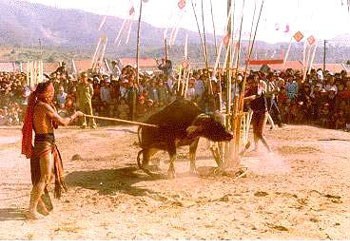 Lễ Hội Đâm Trâu Của Người Ba Na: Nét Văn Hóa Đặc Sắc và Ý Nghĩa Tâm Linh