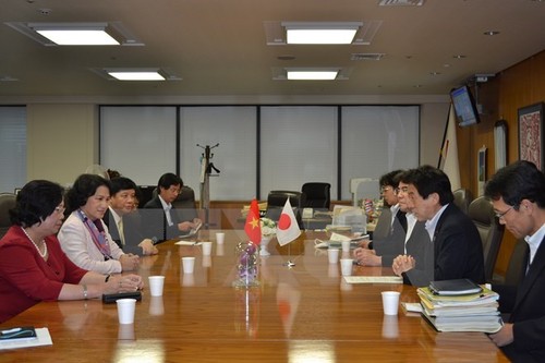 Vietnam, Japan work together in human resources development - ảnh 1