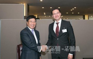 Bulgarian, Danish FMs talk cooperation with Vietnam - ảnh 1