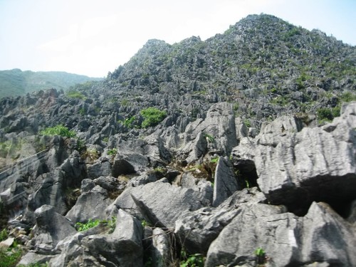 A breathtaking journey to Dong Van Plateau - ảnh 2