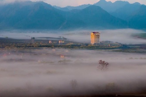 Magnificent beauty of Moc Chau in the dawn mist  - ảnh 4