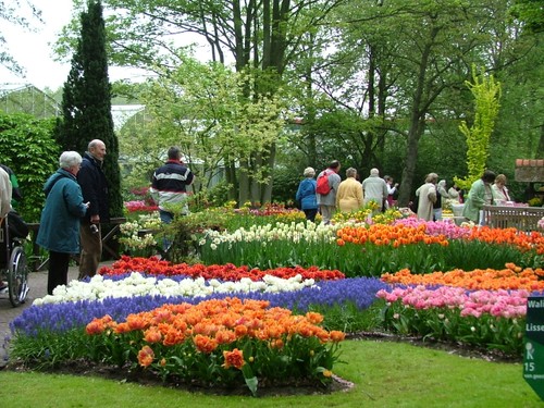 Visiting Da Lat Flower Park - ảnh 1