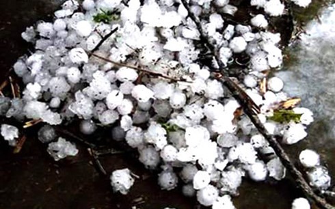 Tuyen Quang resolves hailstorm's consequences - ảnh 1