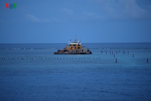 Sky gazing at Truong Sa archipelago  - ảnh 5