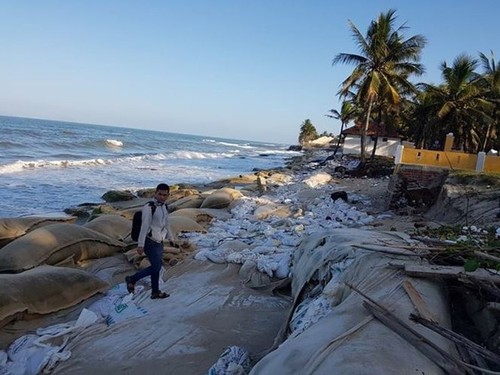 Netherlands supports Vietnam to prevent coastal erosion - ảnh 1