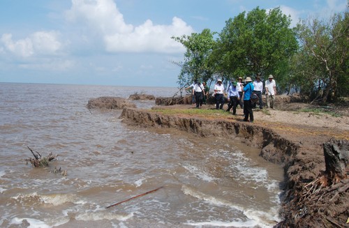 Vietnam adapts to climate change - ảnh 1