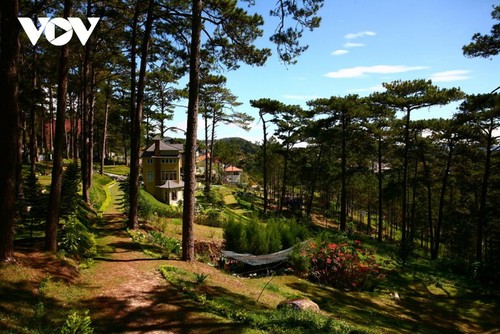 Top attractions in Da Lat City - ảnh 2