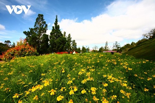 Top attractions in Da Lat City - ảnh 5