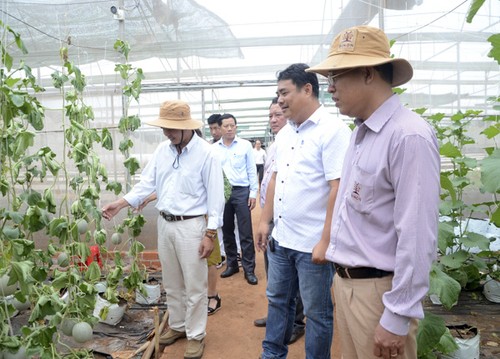 Ba Ria-Vung Tau develops eco-tourism - ảnh 2