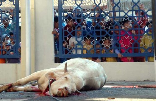 Eid Al-Adha, the Festival of Sacrifice, in Oman - ảnh 4