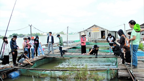 Travelling to Con Son to enjoy the old Tet celebrations - ảnh 2