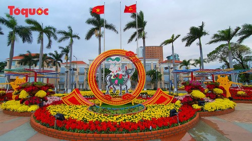 Da Nang Spring Flower Path offers splendid view  - ảnh 1