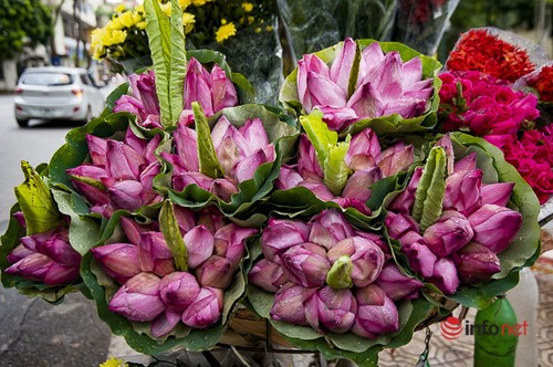 Wednesday June 9, 2019 - ảnh 5