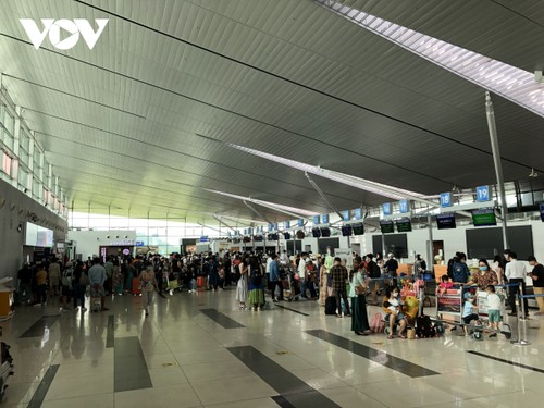 Domestic travelers increase sharply - ảnh 1