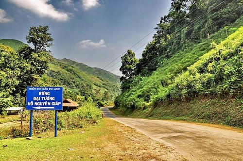 Nhot village forest, historical relic in Son La province - ảnh 1