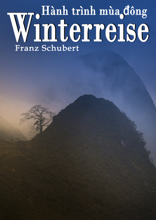 Austria through the eyes of Vietnamese translator of Franz Schubert's “Winterreise” - ảnh 2