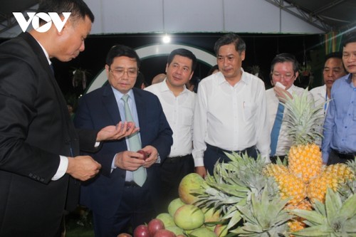 Farm produce introduced at Fruit and OCOP Festival 2022  - ảnh 2