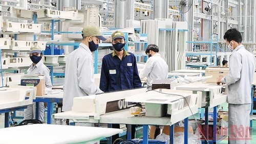 Experts urge stronger recovery measures - ảnh 1