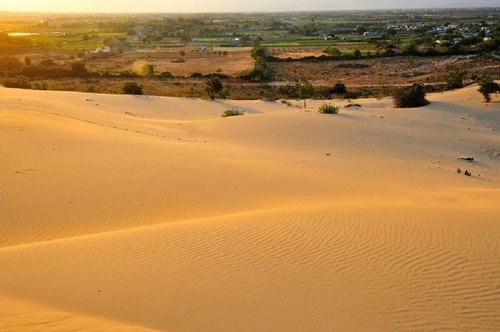 Nam Cuong red sand dune in Ninh Thuan province - ảnh 2