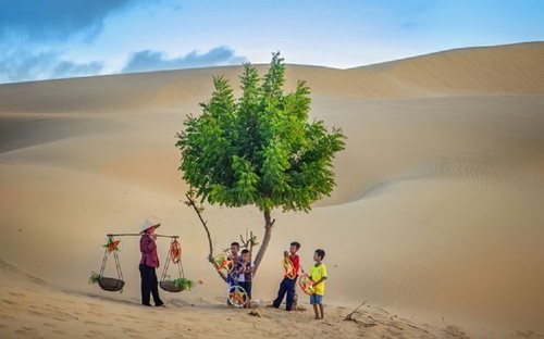 Nam Cuong red sand dune in Ninh Thuan province - ảnh 7