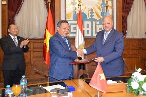 Vietnam, Egypt boost cooperation between capital cities - ảnh 1