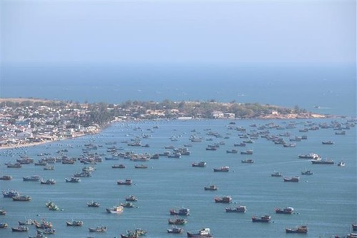 Phu Quy island builds green tourism - ảnh 1