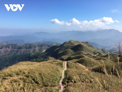 Paragliding over golden rice terrace fields in Northern Vietnam - ảnh 8